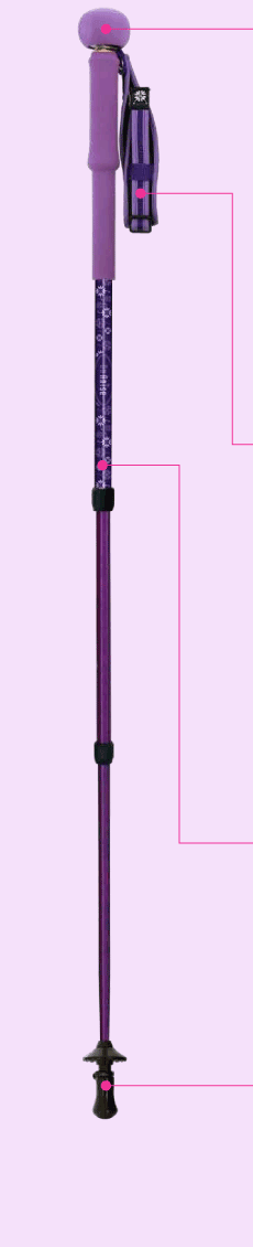 自撮り・セルフィーができるトレッキングポールOn Anise