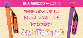 on anise　デビュー！